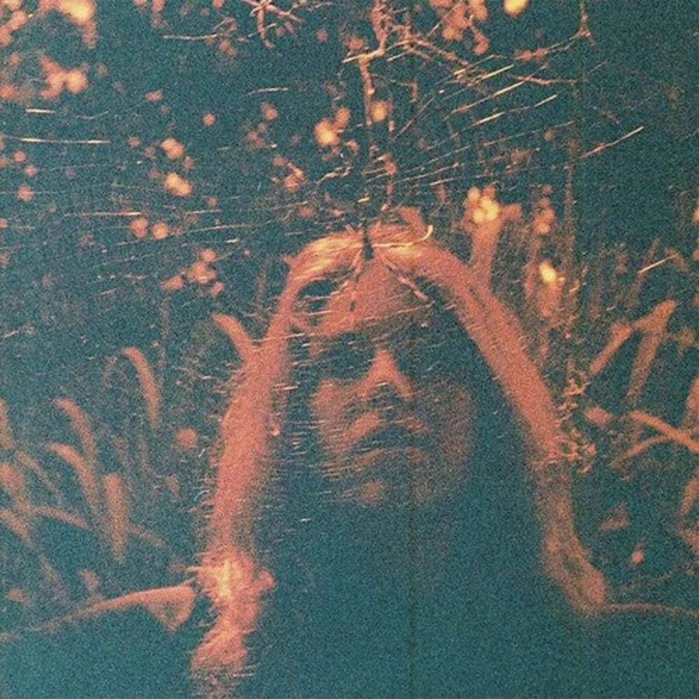 Turnover LP Vinyl - Peripheral Vision - Clear Orange (Cvnl) (Org)