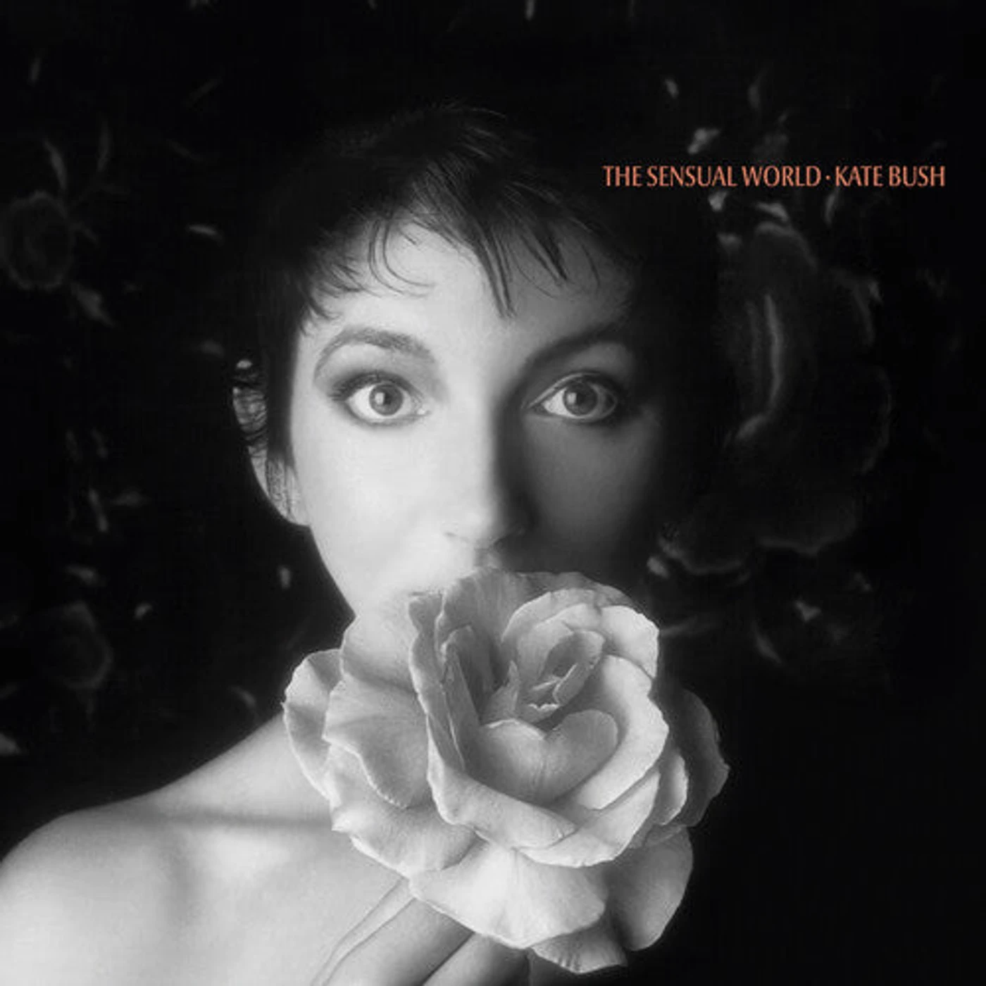 Kate Bush LP Vinyl - Sensual World (Ogv) (Rmst) (Uk)