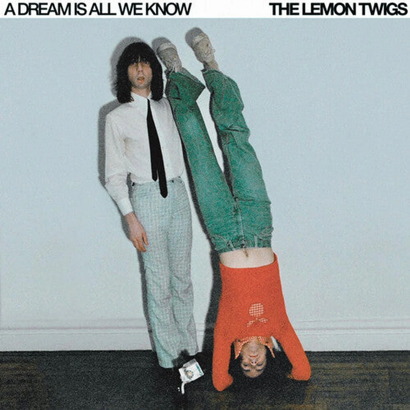 The Lemon Twigs LP Vinyl - Dream Is All We Know (Colv) (Purp)