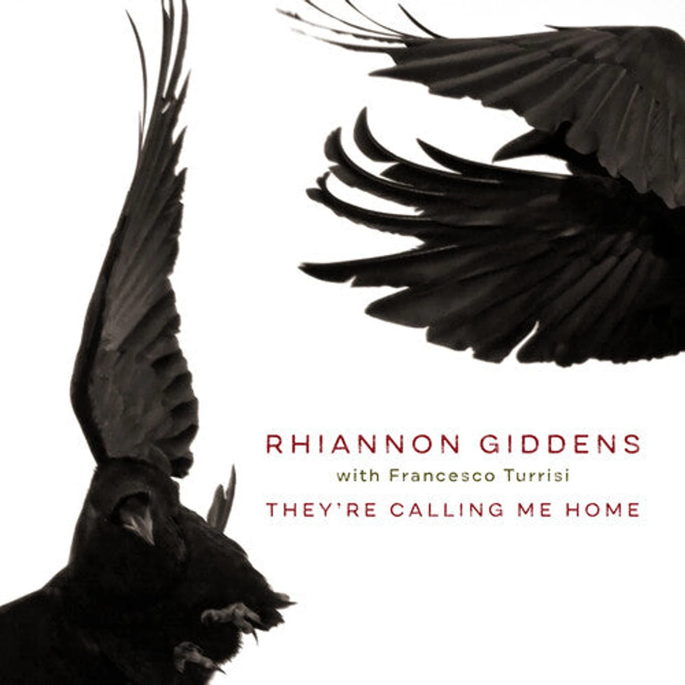 Rhiannon Giddens LP Vinyl - They'Re Calling Me Home