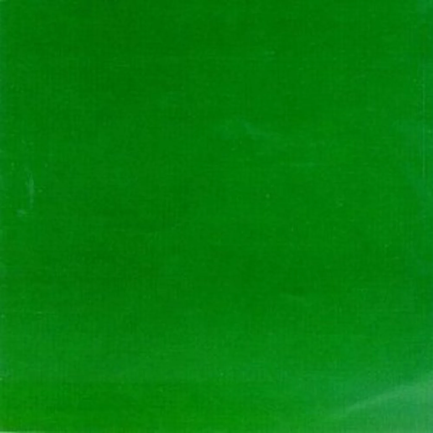 Skankin' Pickle LP Vinyl - Green Album
