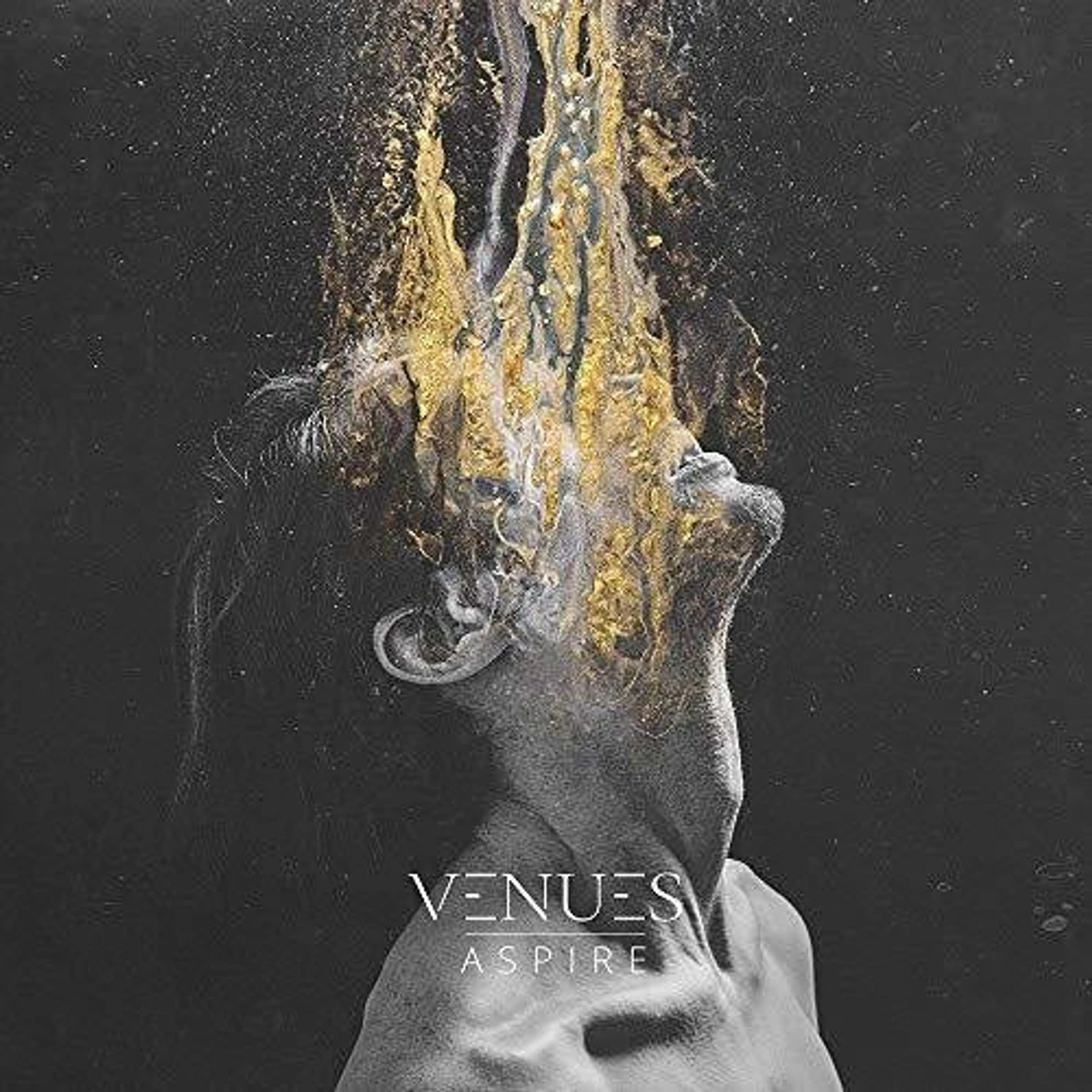 Venues LP Vinyl - Aspire (Uk)