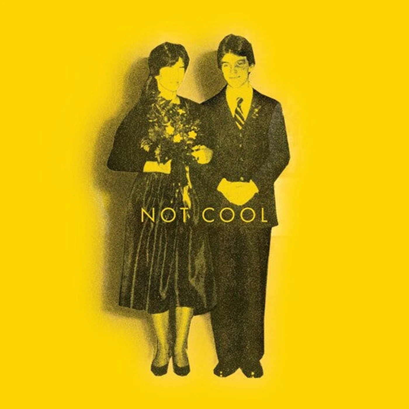 Tim Easton LP Vinyl - Not Cool