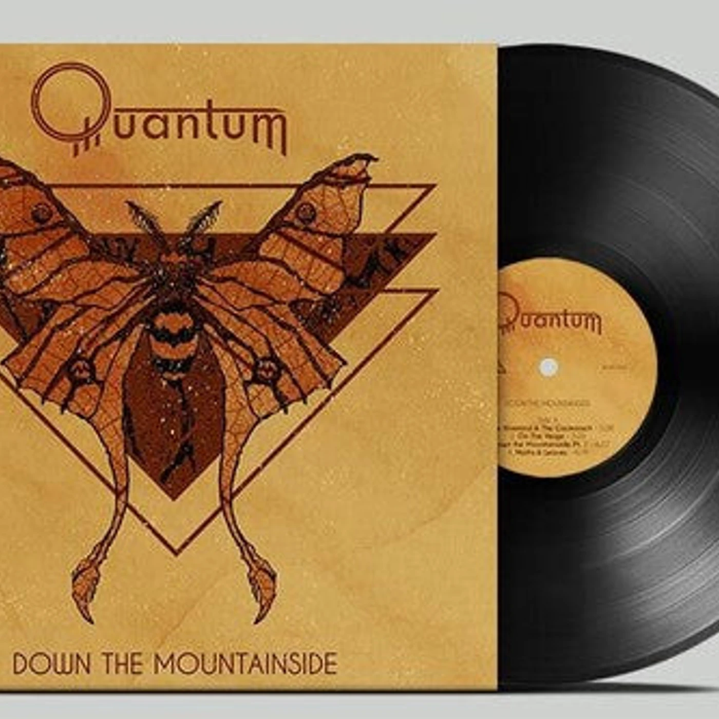Quantum LP - Down The Mountainside (Vinyl)