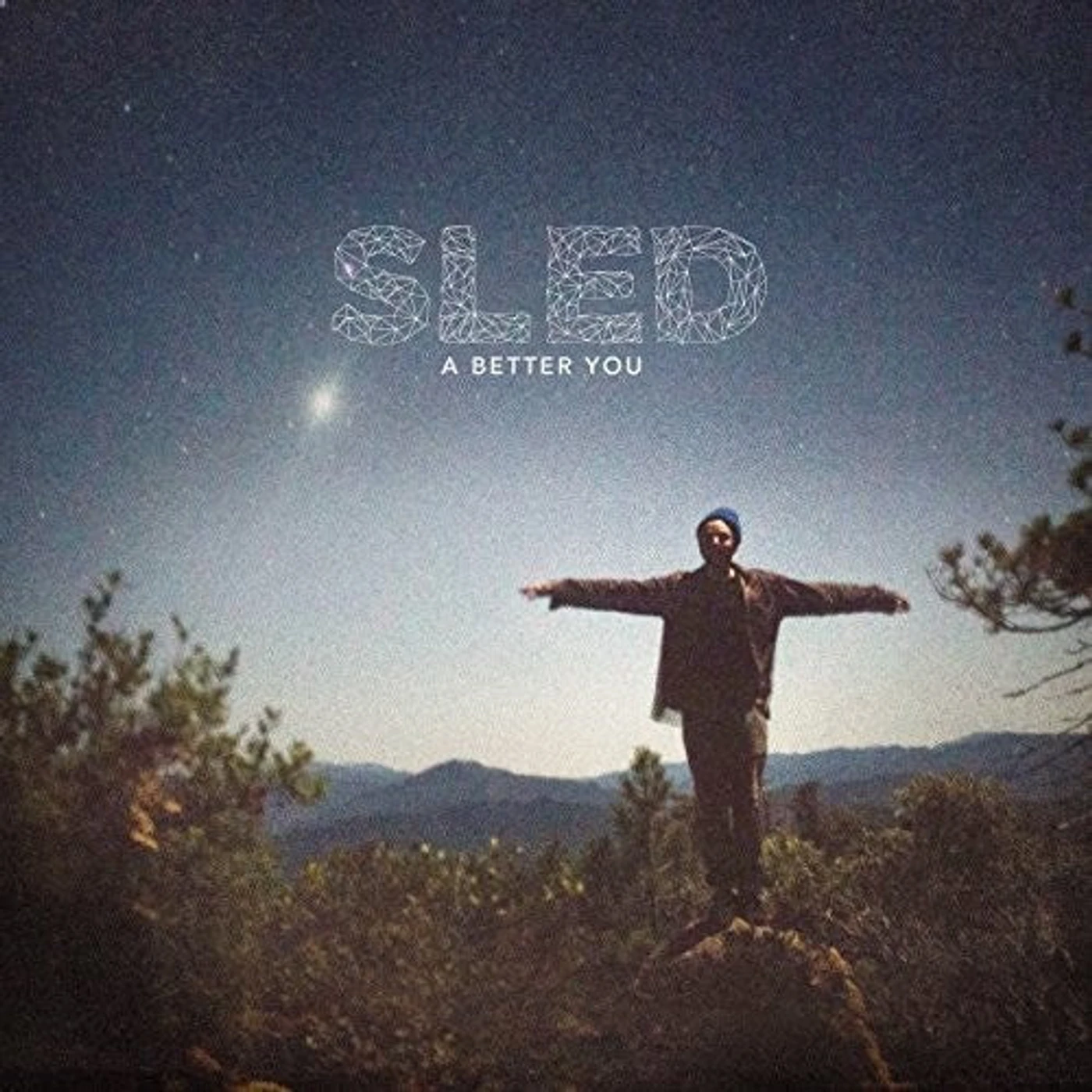 Sled LP Vinyl - Better You
