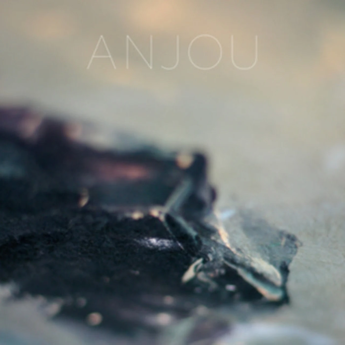 Anjou LP Vinyl Record - Epithymia