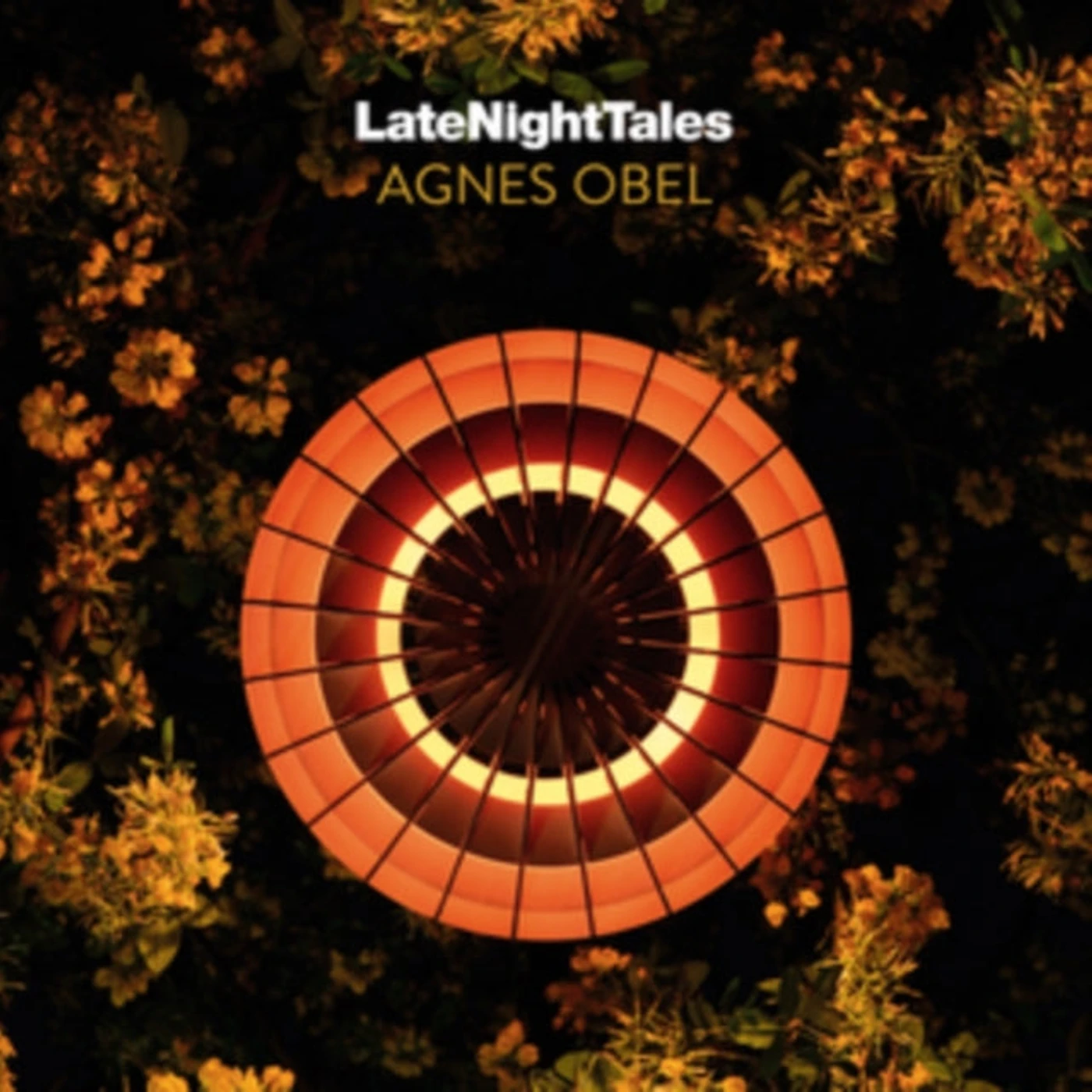 Various Artists LP Vinyl Record - Late Night Tales: Agnes Obel