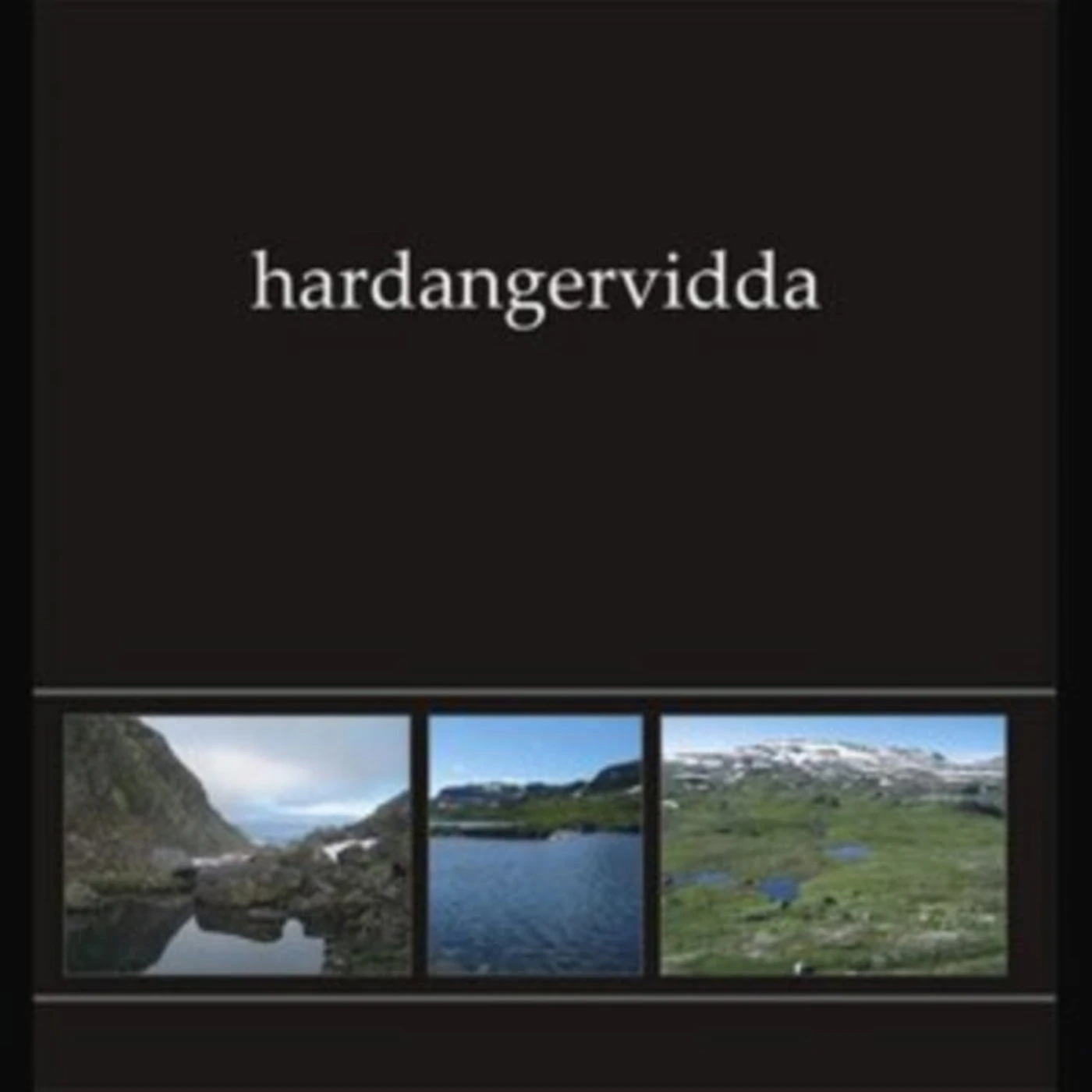 Ildjarn - Nidhogg LP - Hardangervidda I Green Vinyl)