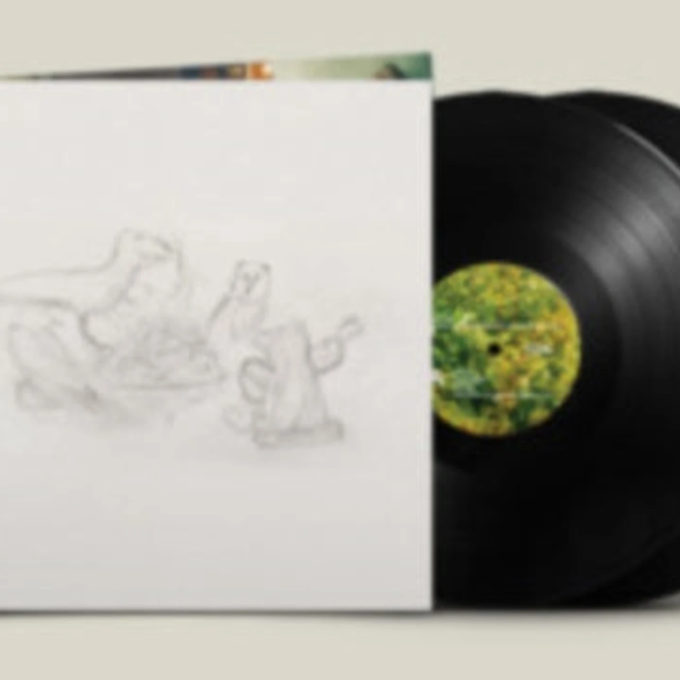 Big Thief LP Vinyl Record - Dragon New Warm Mountain I Believe In You
