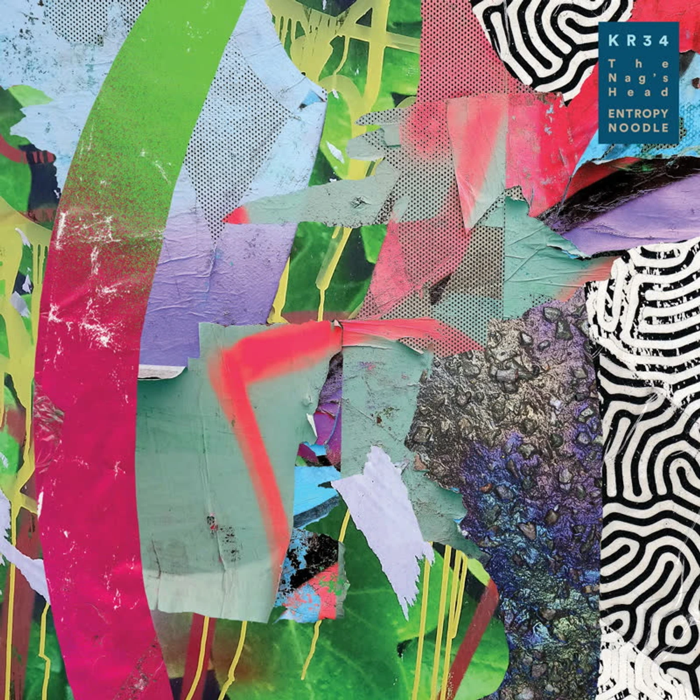 The Nag's Head LP - Entropy Noodle (Vinyl)