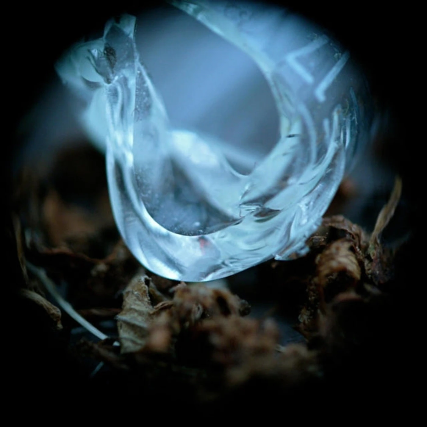 Ossicles CD - Mantelpiece