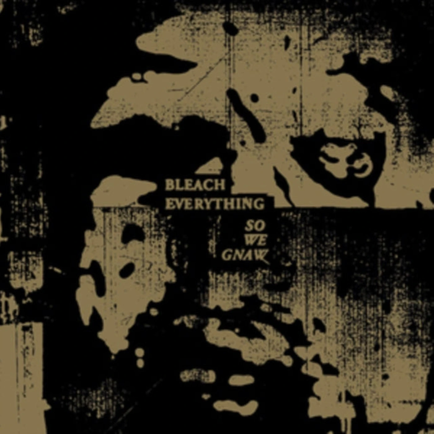 Bleach Everything CD - So We Gnaw