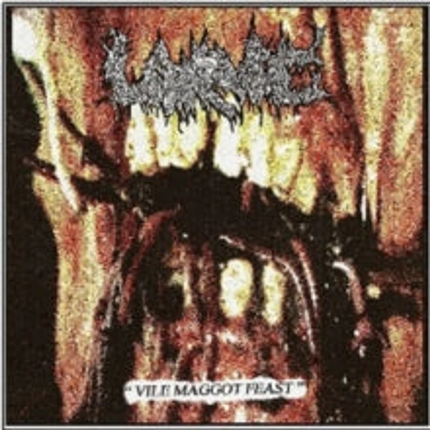 Larvae CD - Vile Maggot Feast