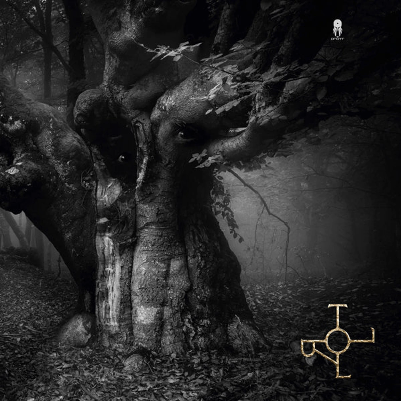 Drott LP - Troll (Vinyl)