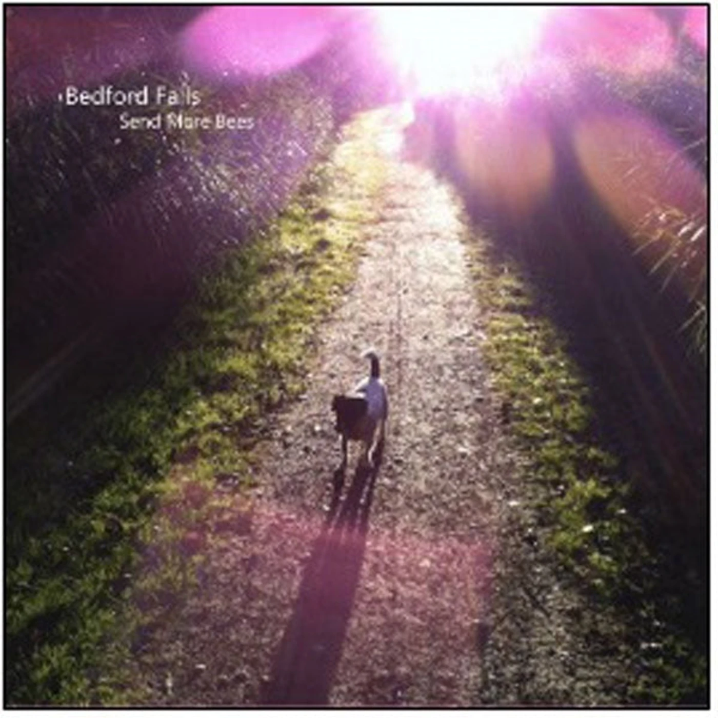 Bedford Falls LP - Send More Bees (Lp+Cd)