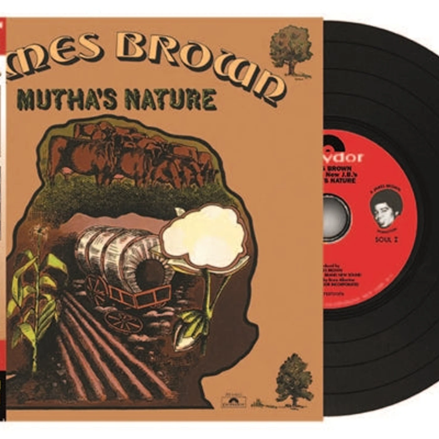 James Brown CD - Mutha's Nature