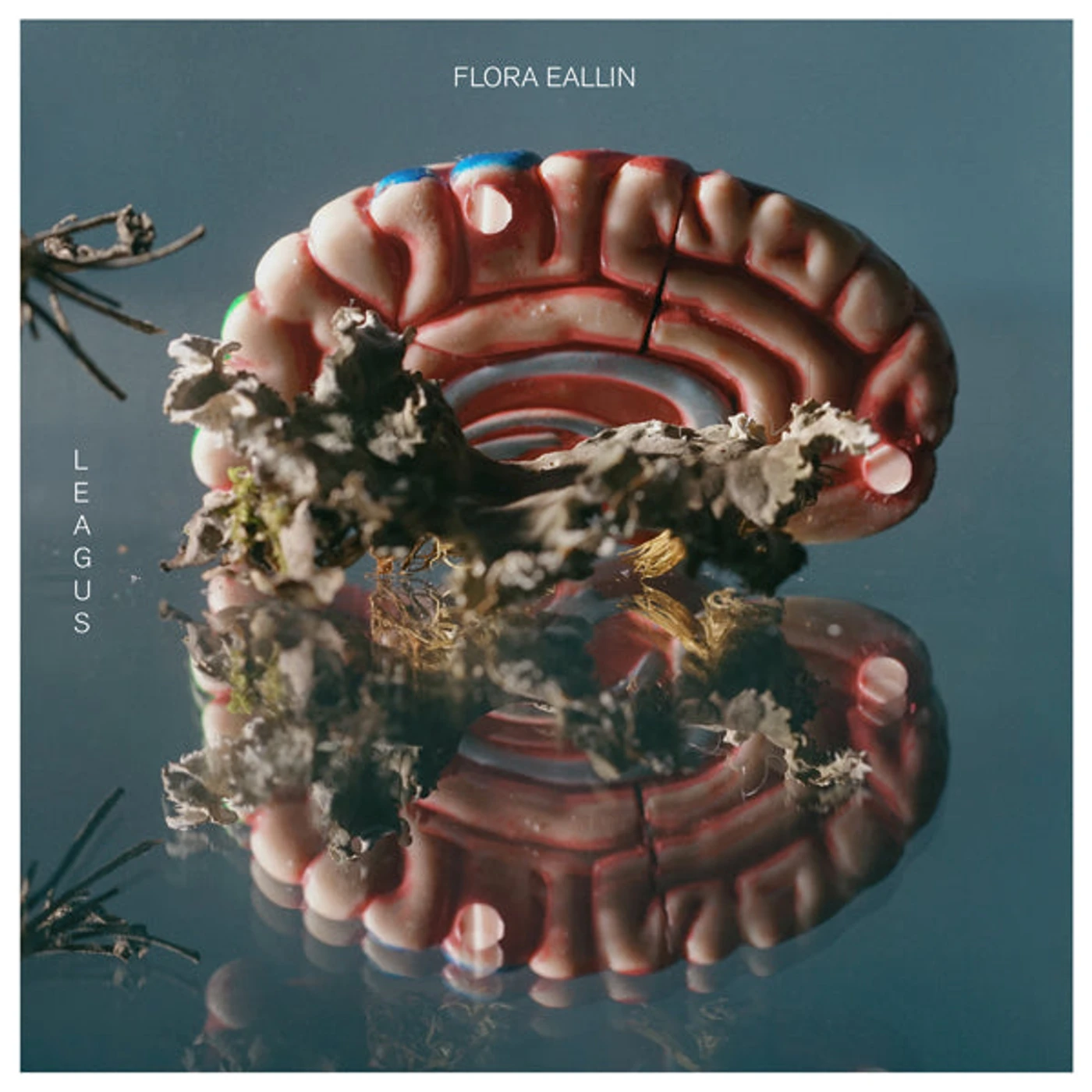 Leagus LP - Flora Eallin (Vinyl)