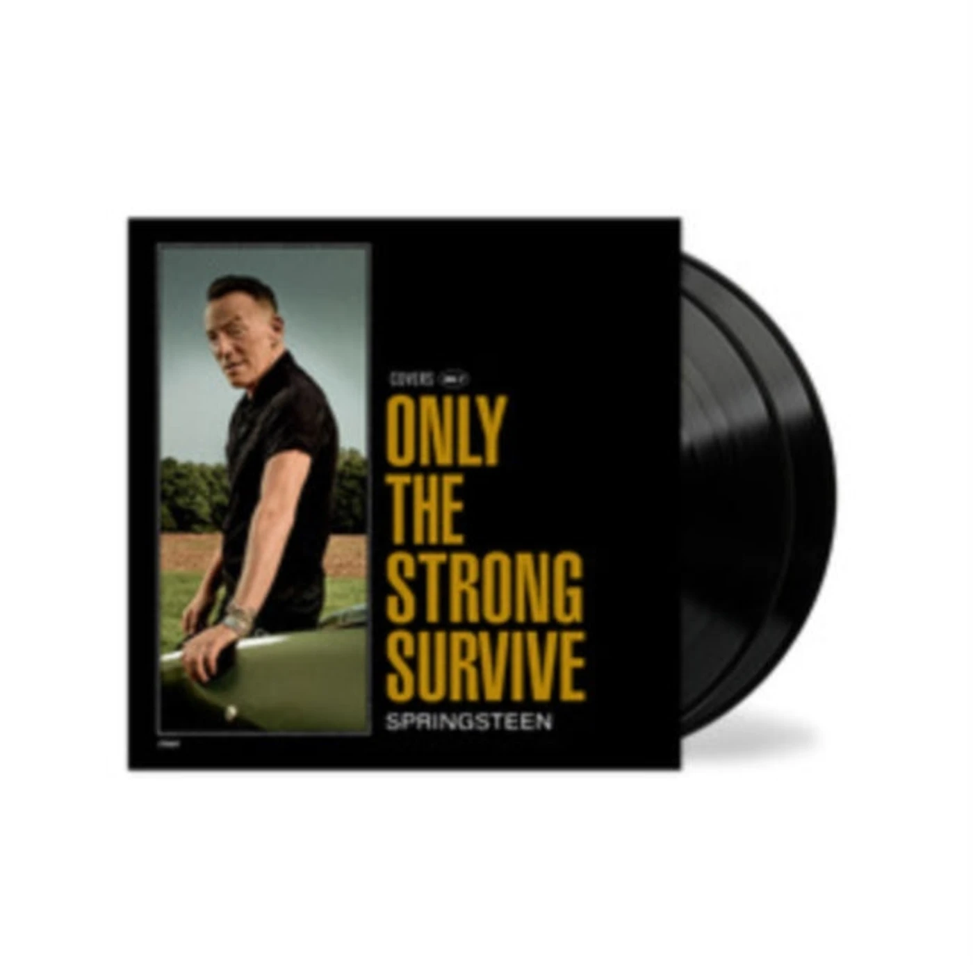 Bruce Springsteen LP - Only The Strong Survive (Etched D-Side) (Vinyl)
