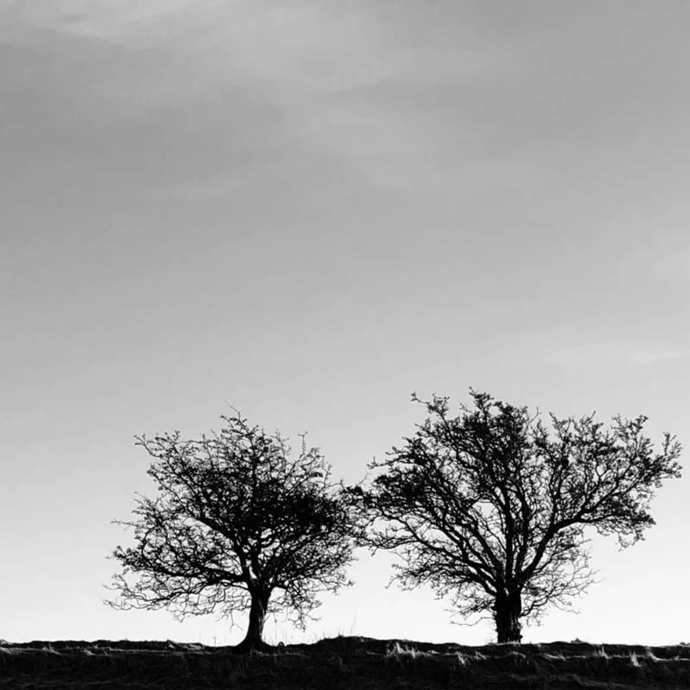 Jon Allen LP - A Heightened Sense Of Everythi (Vinyl)