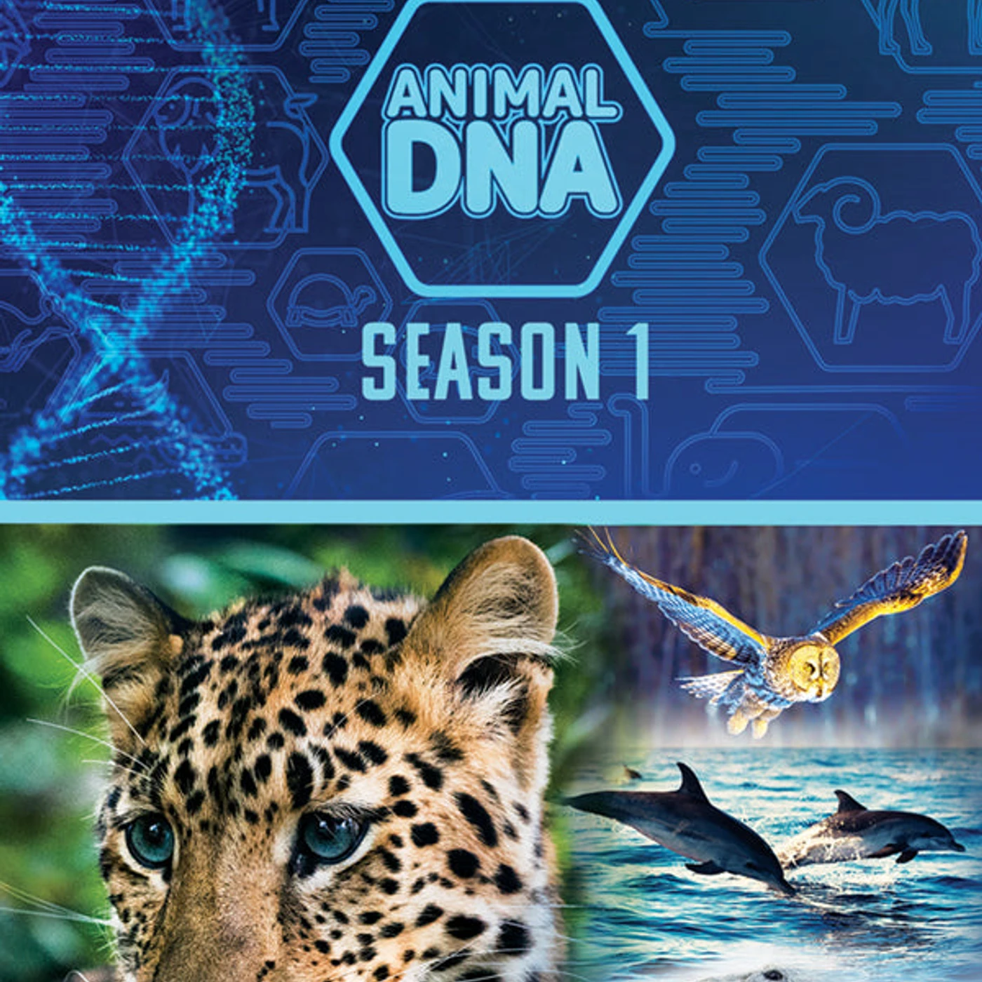 Feature Film DVD - Animal Dna: Season One