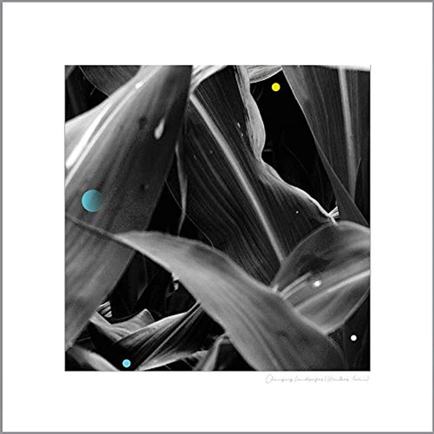 Arthur King LP - Changing Landscapes (Wauters F (Vinyl)