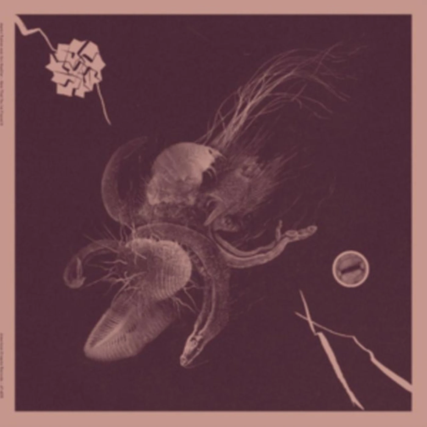 Aaron Turner & Jon Mueller LP - Now That Youve Found It (Vinyl)