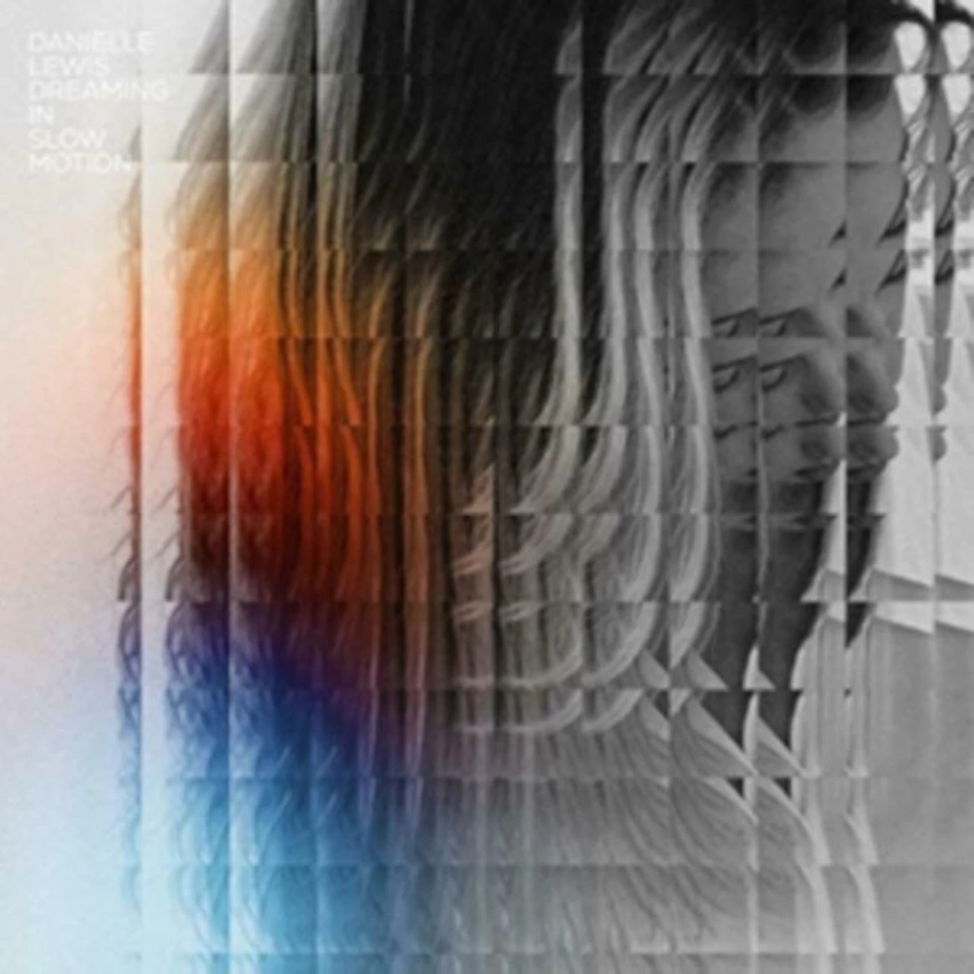 Danielle Lewis LP - Dreaming In Slow Motion (Vinyl)