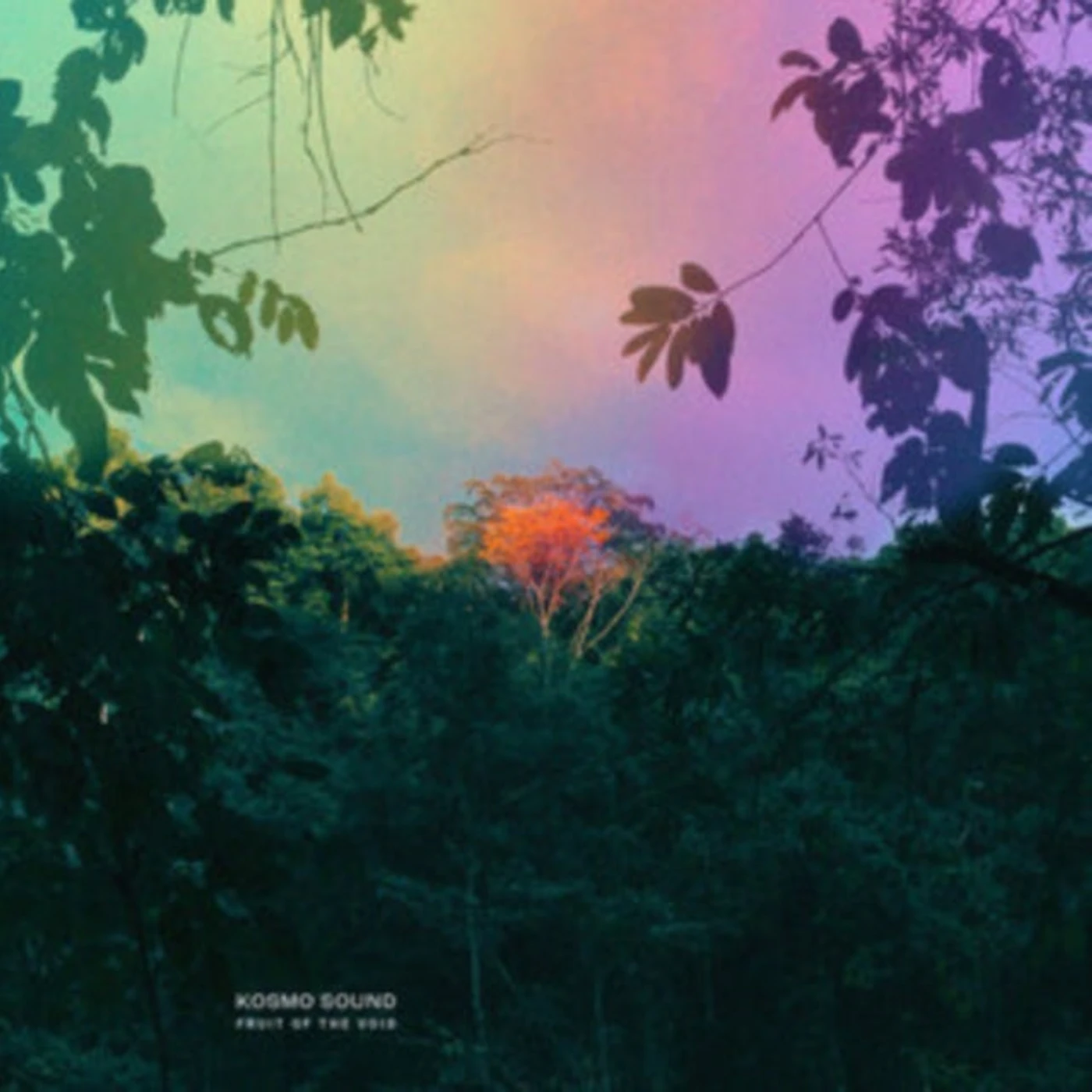 Kosmo Sound LP - Fruit Of The Void (Vinyl)
