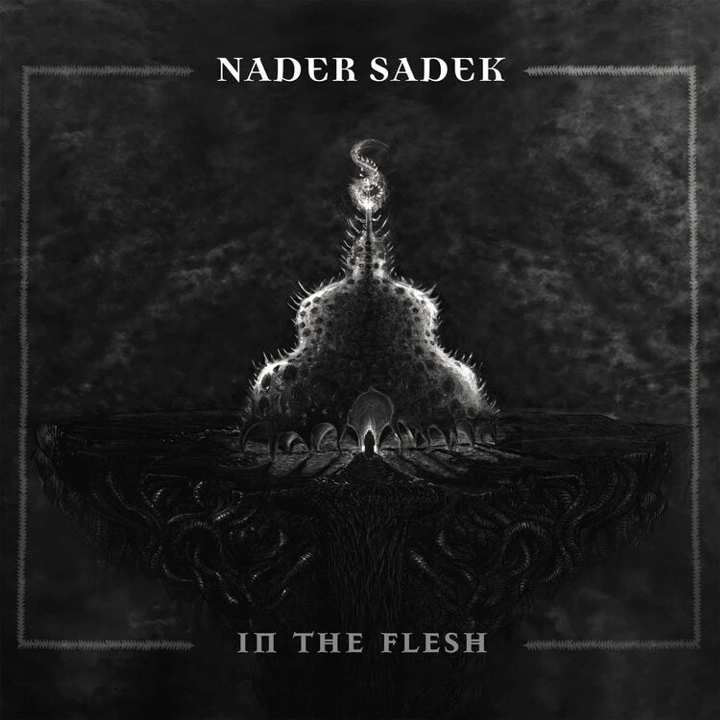 Nader Sadek LP - In The Flesh (Vinyl)