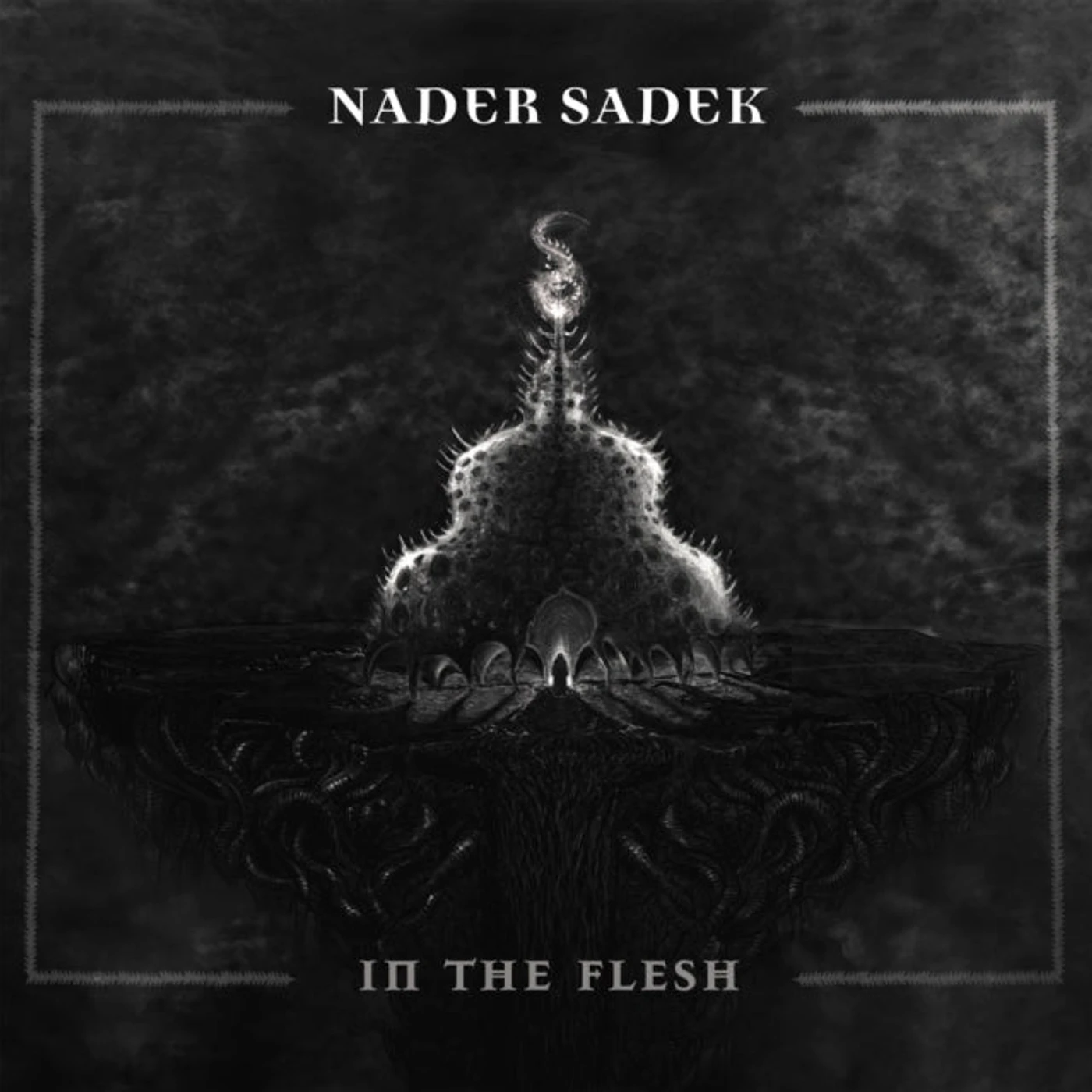 Nader Sadek LP - In The Flesh (Vinyl)