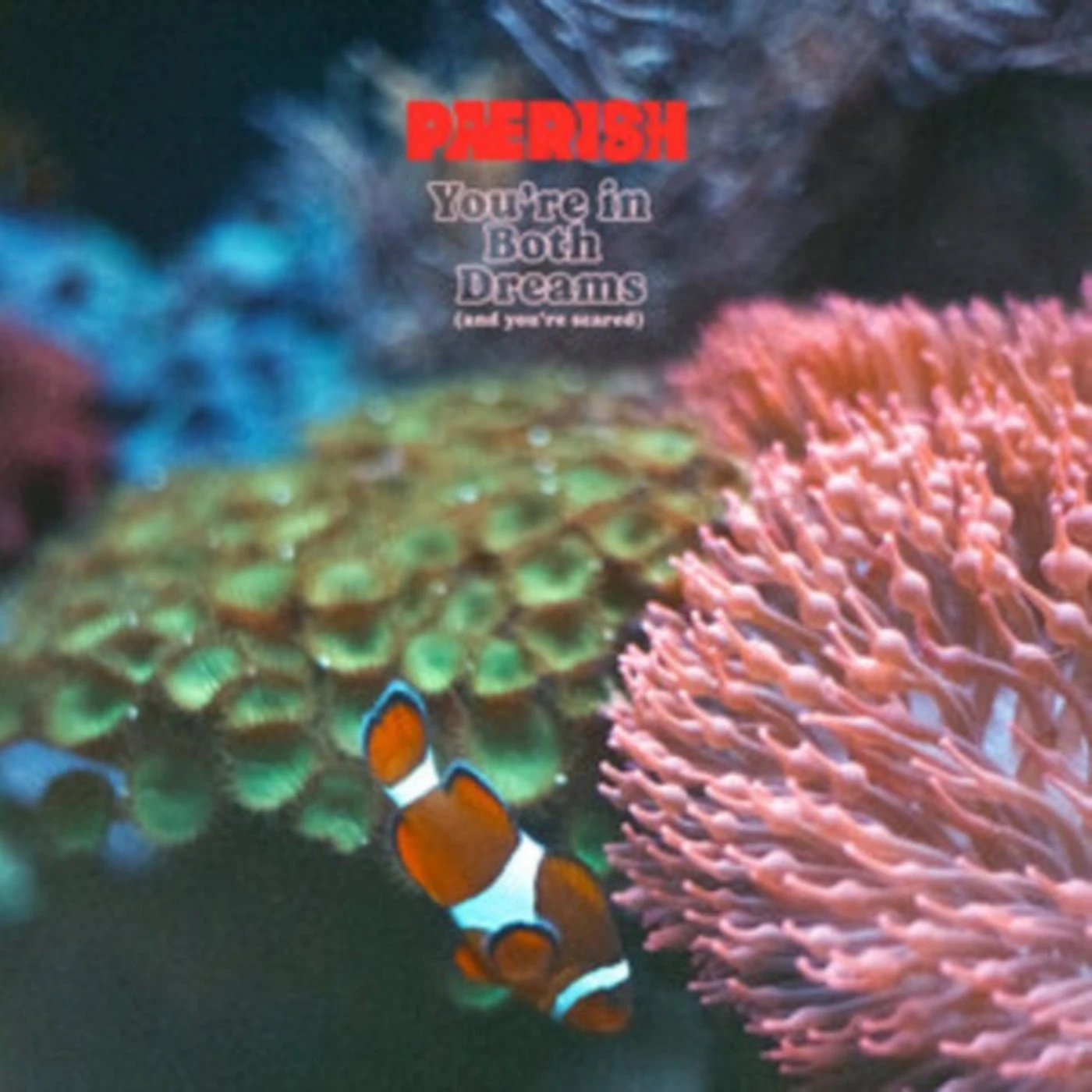 Paerish LP - Youre In Both Dreams (And You (Vinyl)