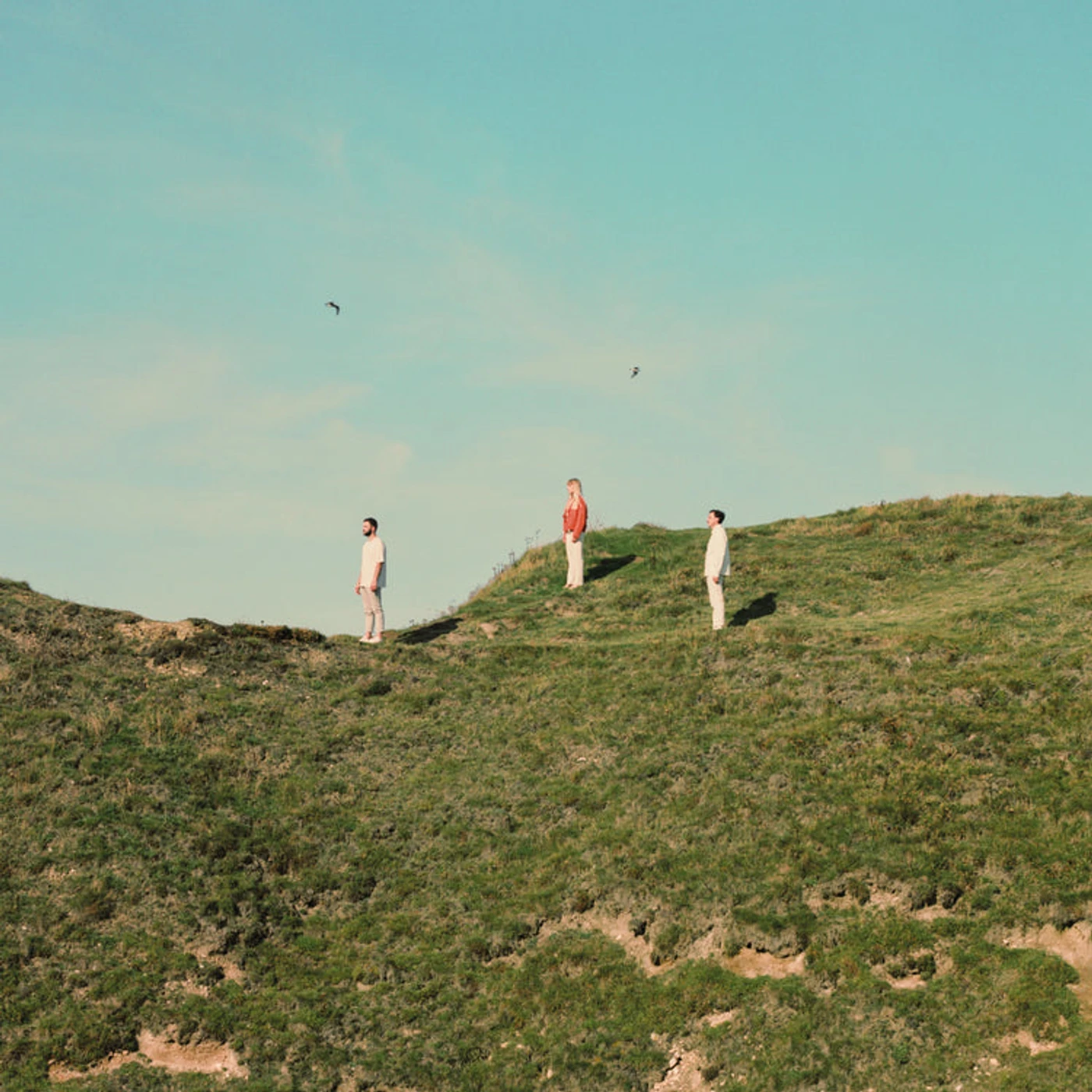 Peakes LP - Peripheral Figures (Vinyl)