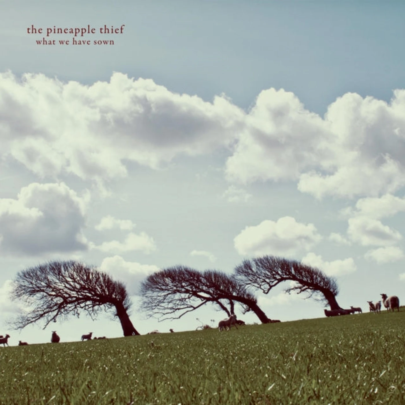 The Pineapple Thief LP - What We Have Sown (Vinyl)