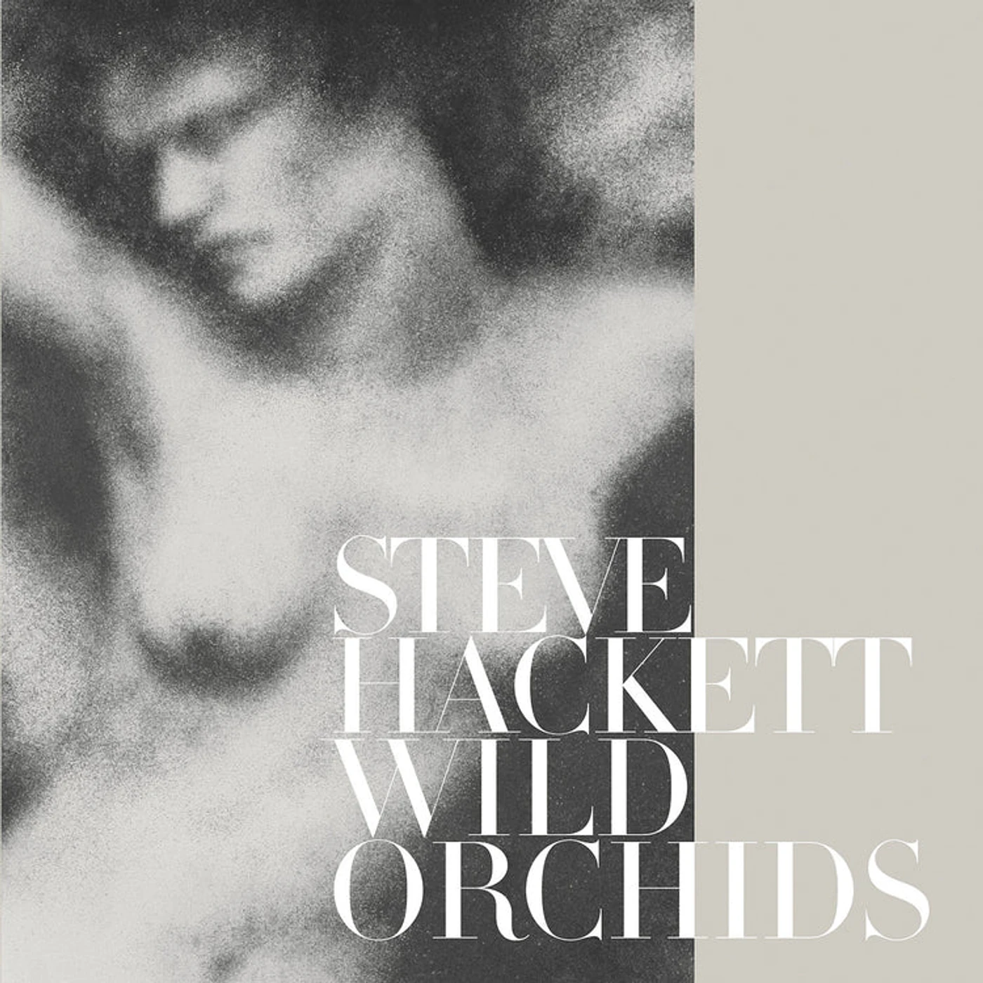 Steve Hackett LP - Wild Orchids (Vinyl Re-Issue 2