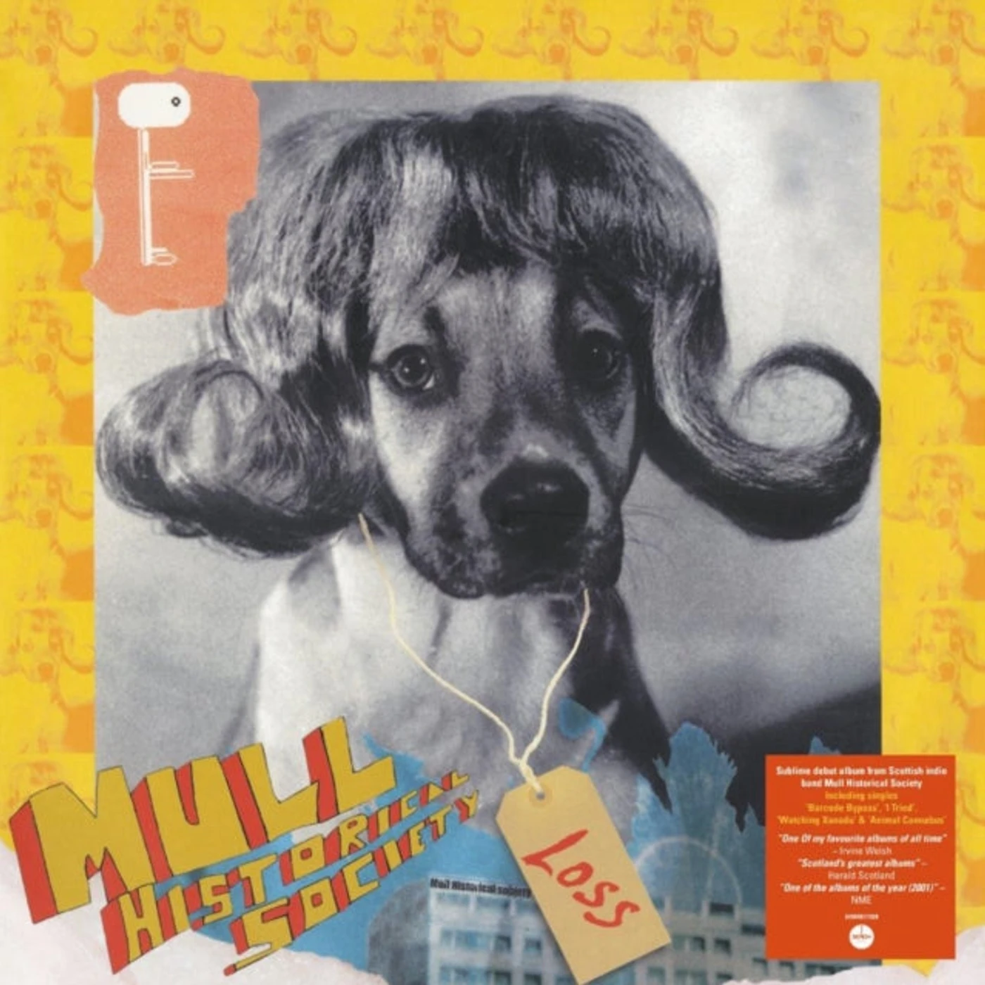 Mull Historical Society LP - Loss (Vinyl)