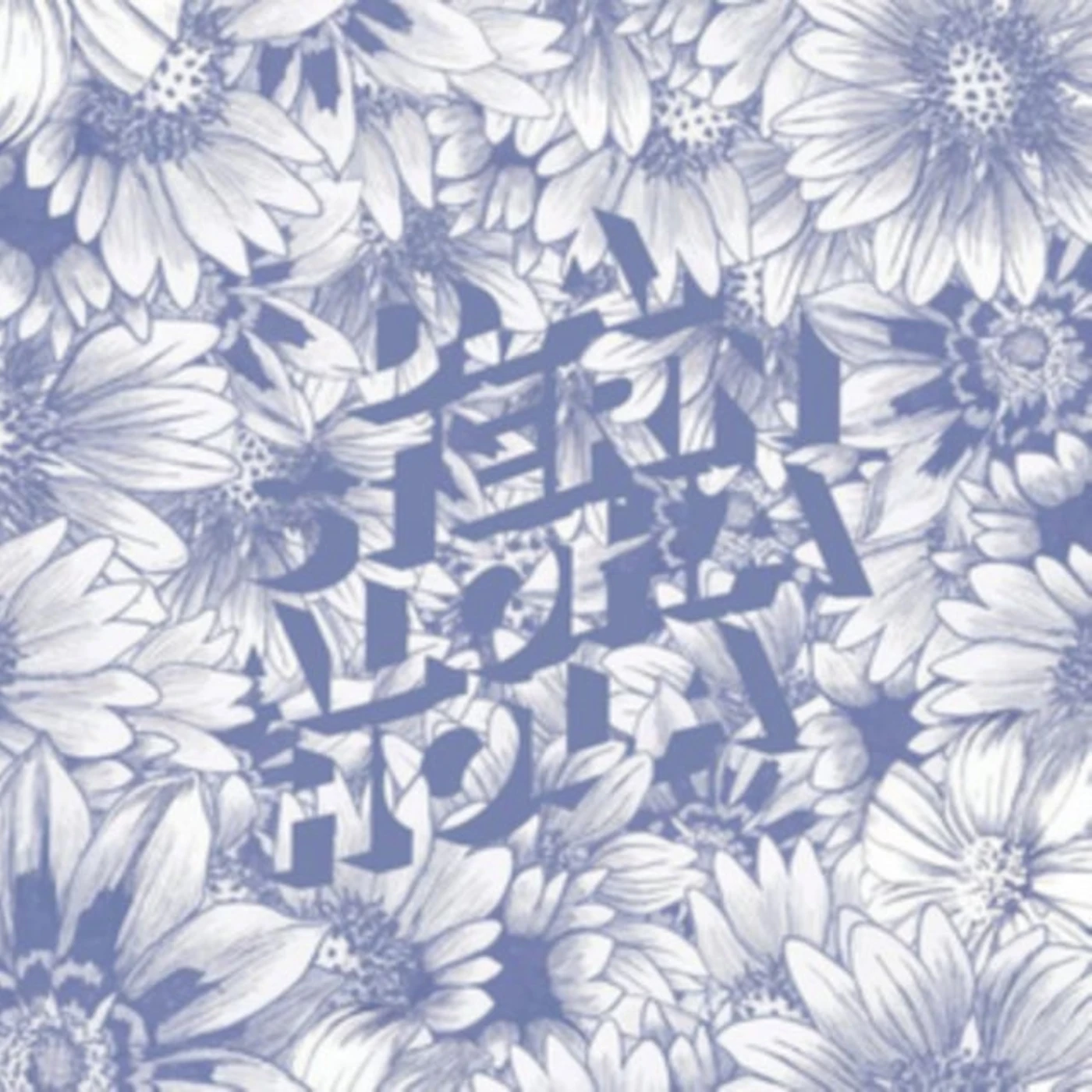 D.A. Stern LP - Aloha Hola (Vinyl)