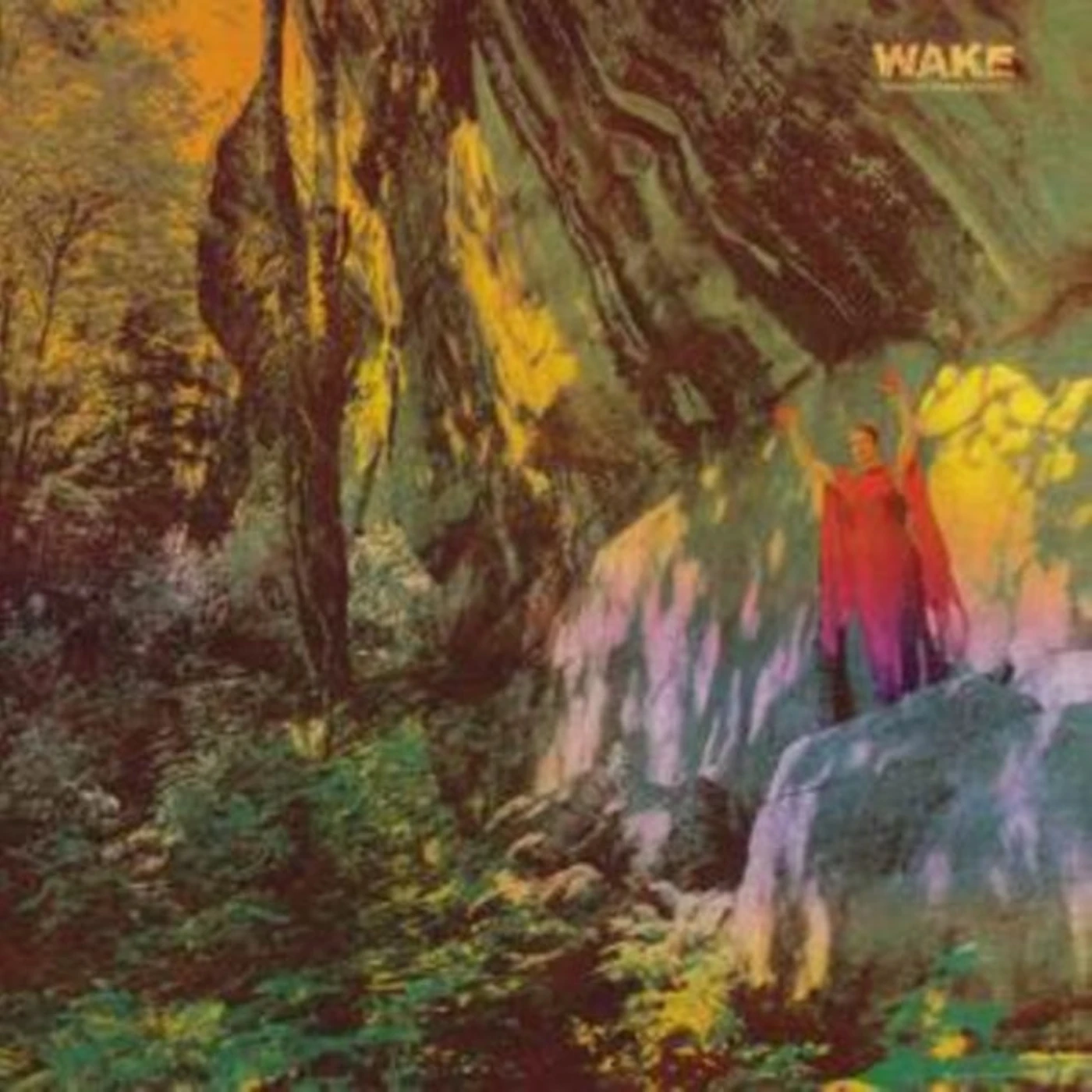 Wake LP - Thought Form Descent (Vinyl)