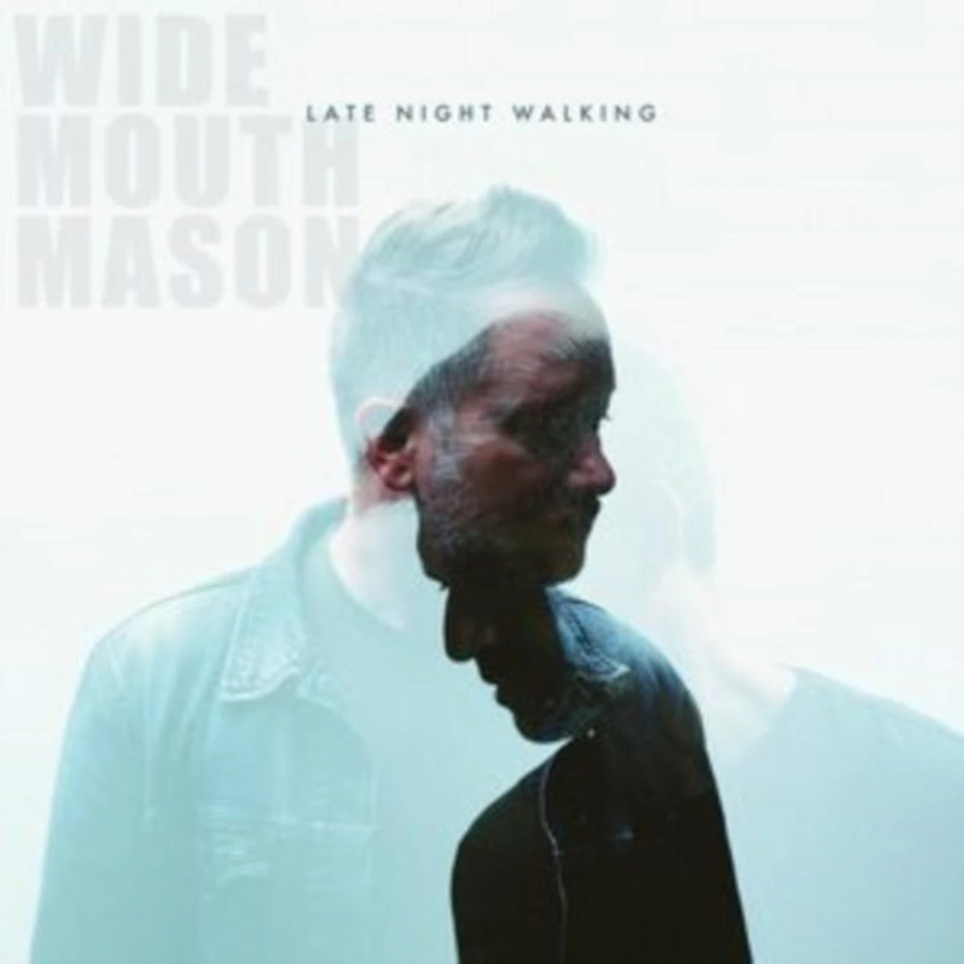 Wide Mouth Mason LP - Late Night Walking (Vinyl)