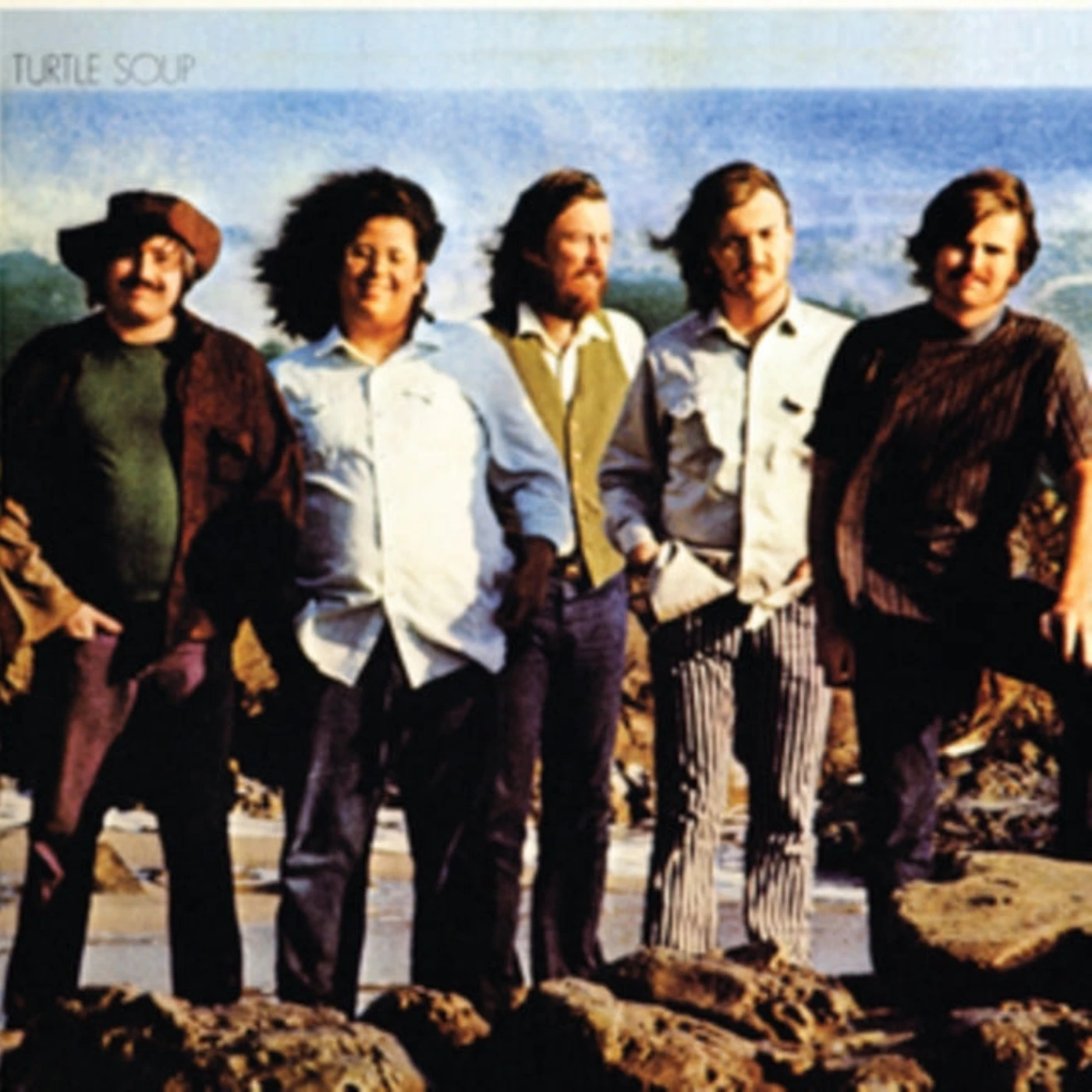 The Turtles LP - Turtle Soup (Vinyl)