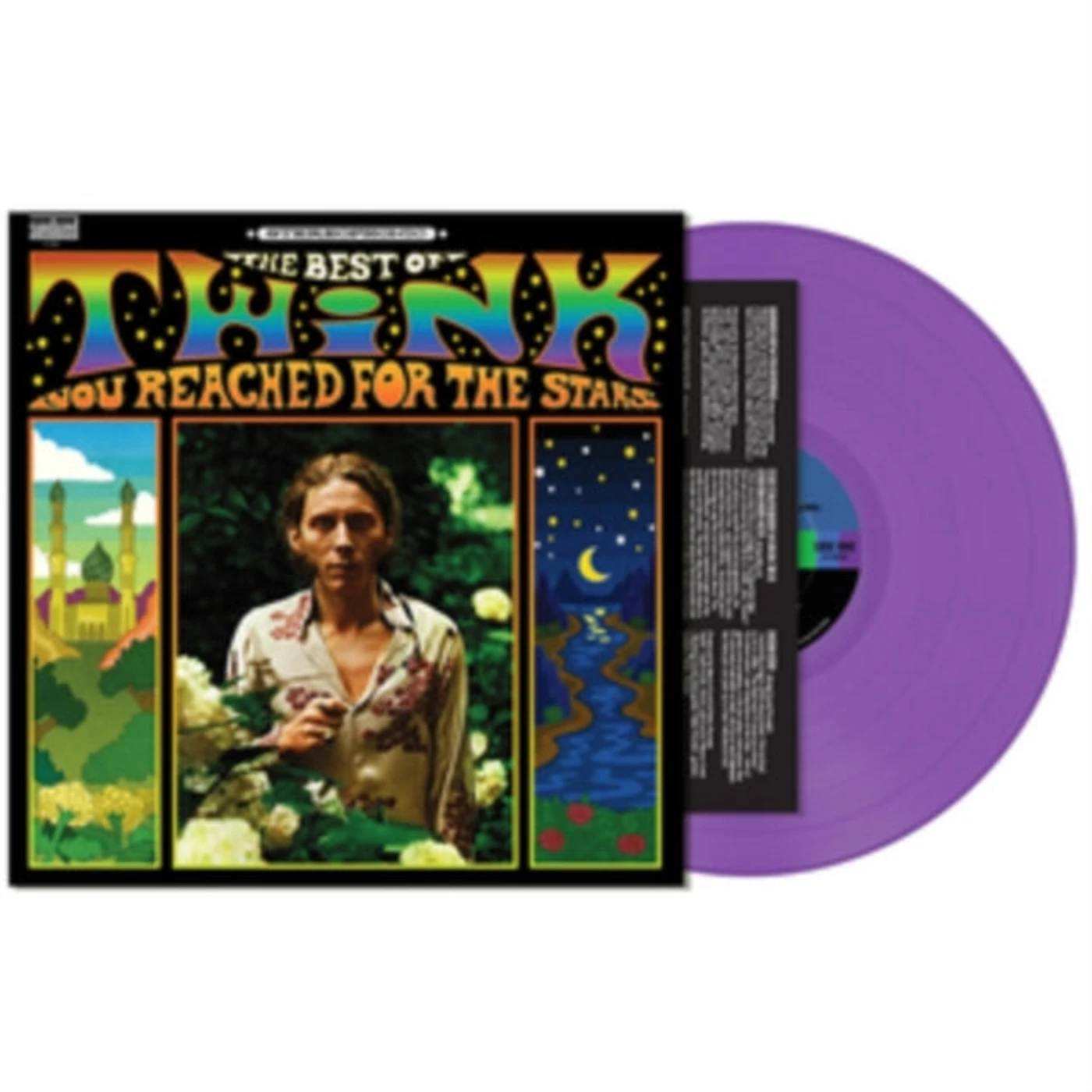 Twink LP - You Reached for the Stars (Vinyl)