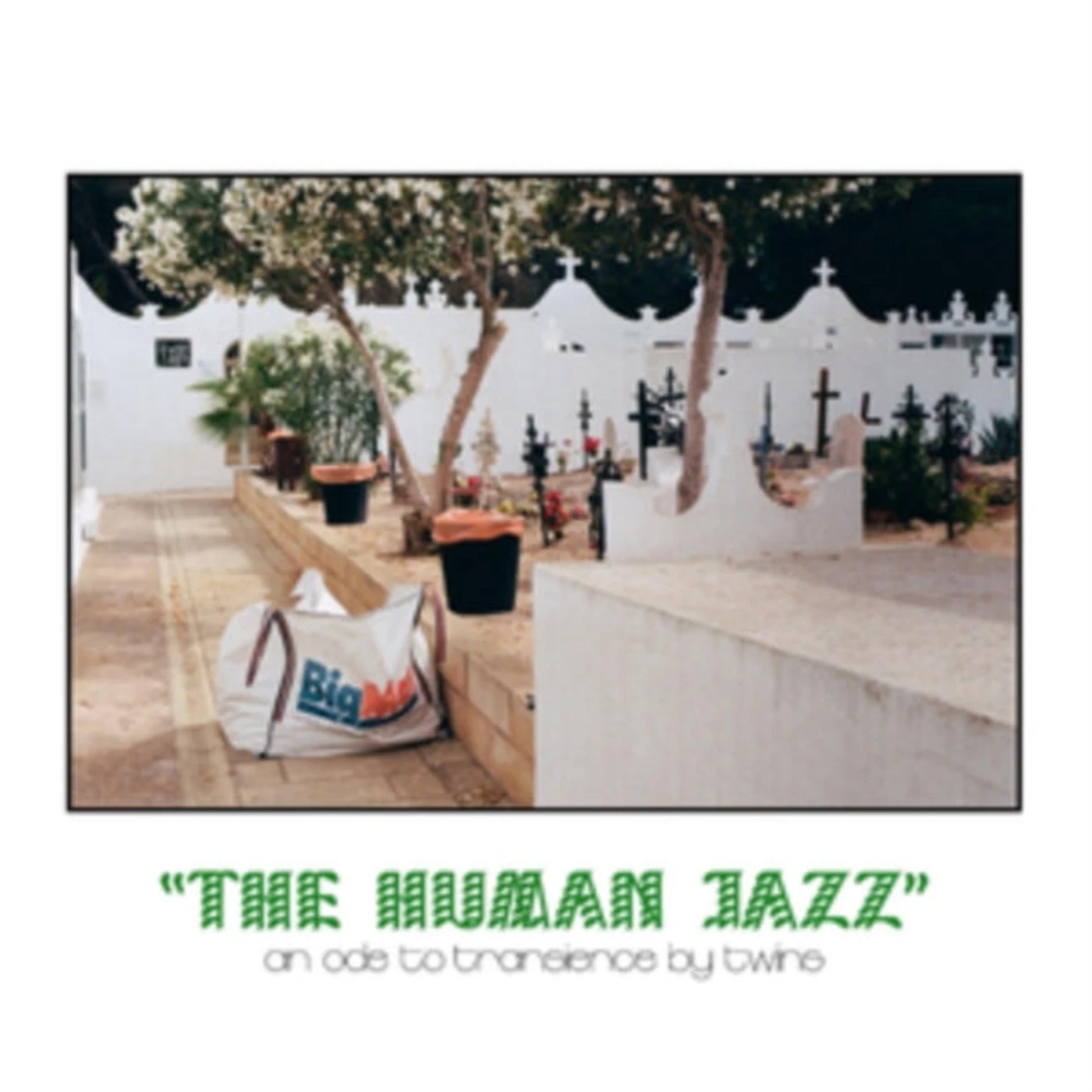 Twins LP - Human Jazz The (Vinyl)