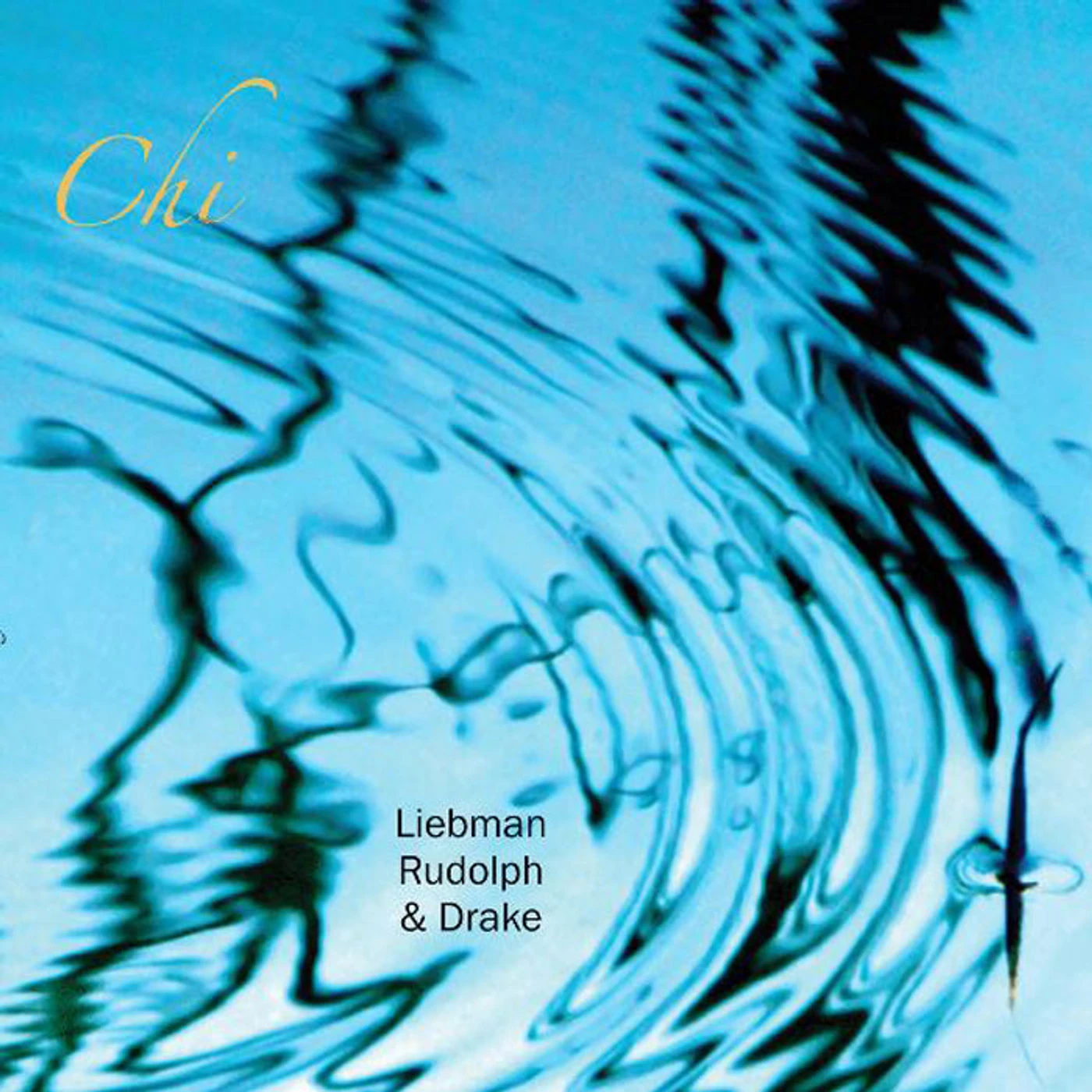 Dave Liebman / Adam Rudolph / Hamid Drake LP - Chi (Vinyl)