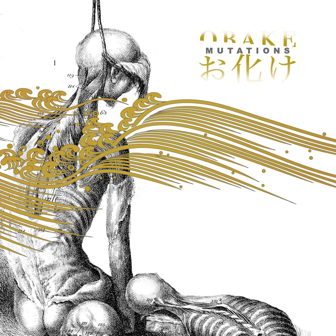 Obake LP - Mutations (Vinyl)