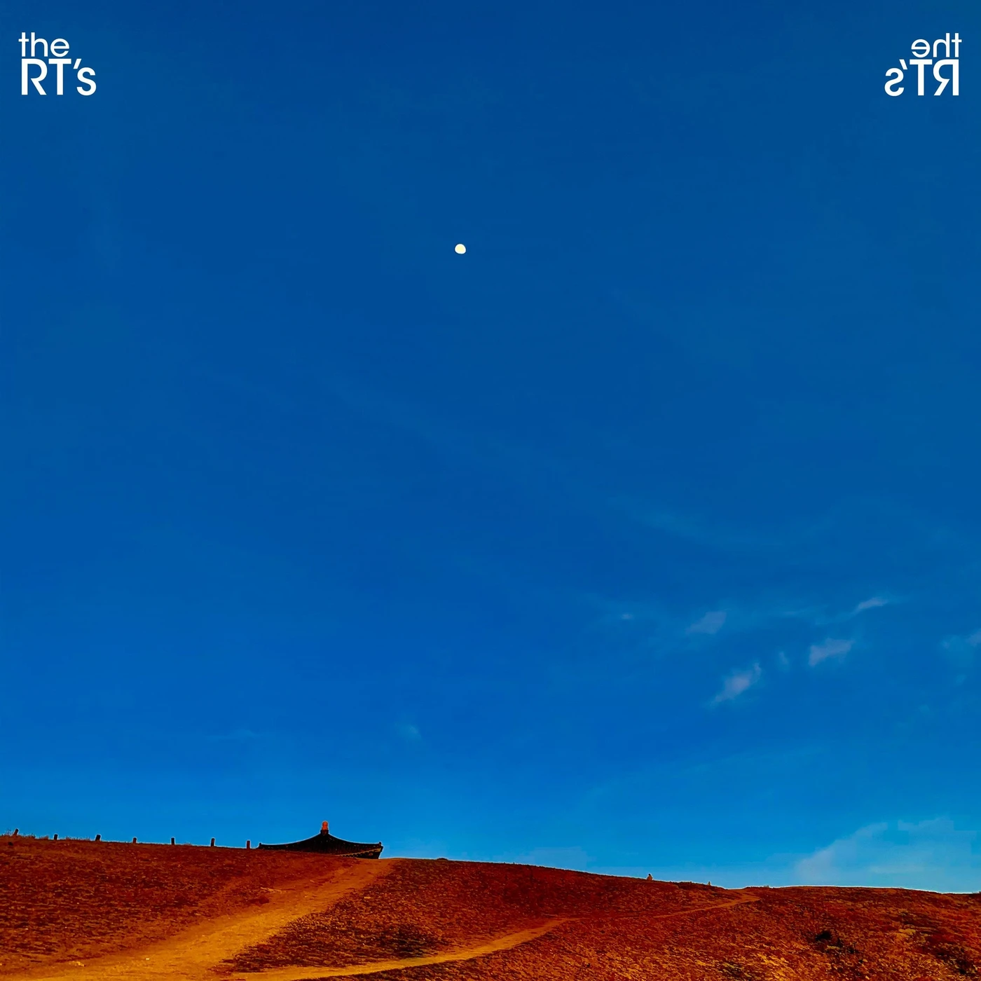 The RT's LP - Rt'S (Vinyl)