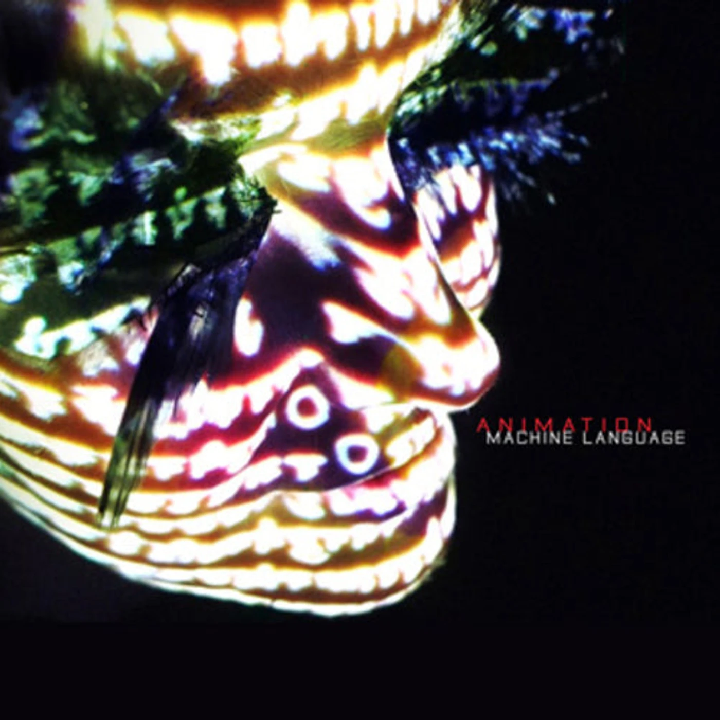 Animation LP - Machine Language (Vinyl)