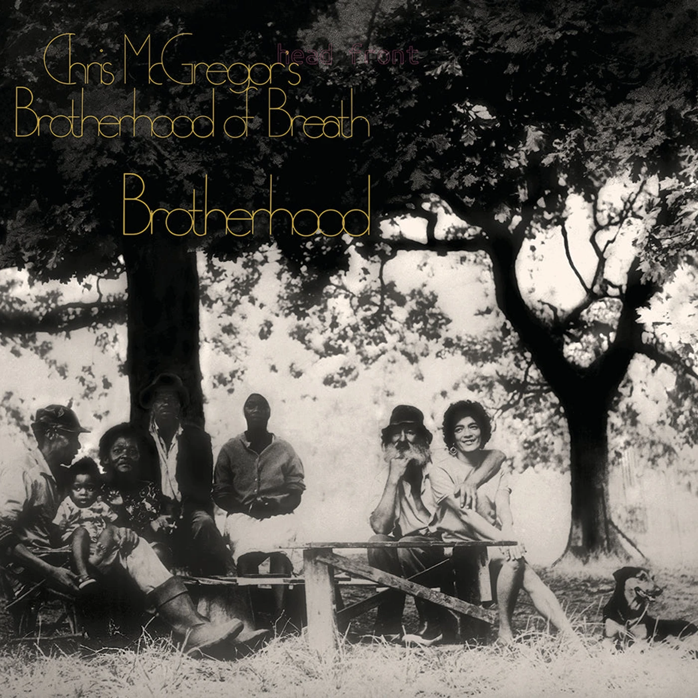 Chris Mcgregor'S Brotherhood Of Breath LP - Brotherhood (Yellow Vinyl)
