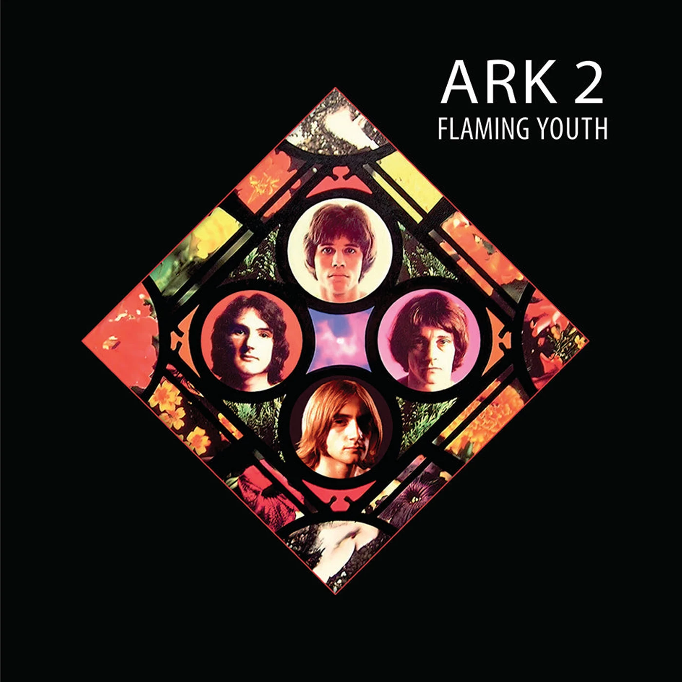 Flaming Youth LP - Ark 2 (Vinyl)