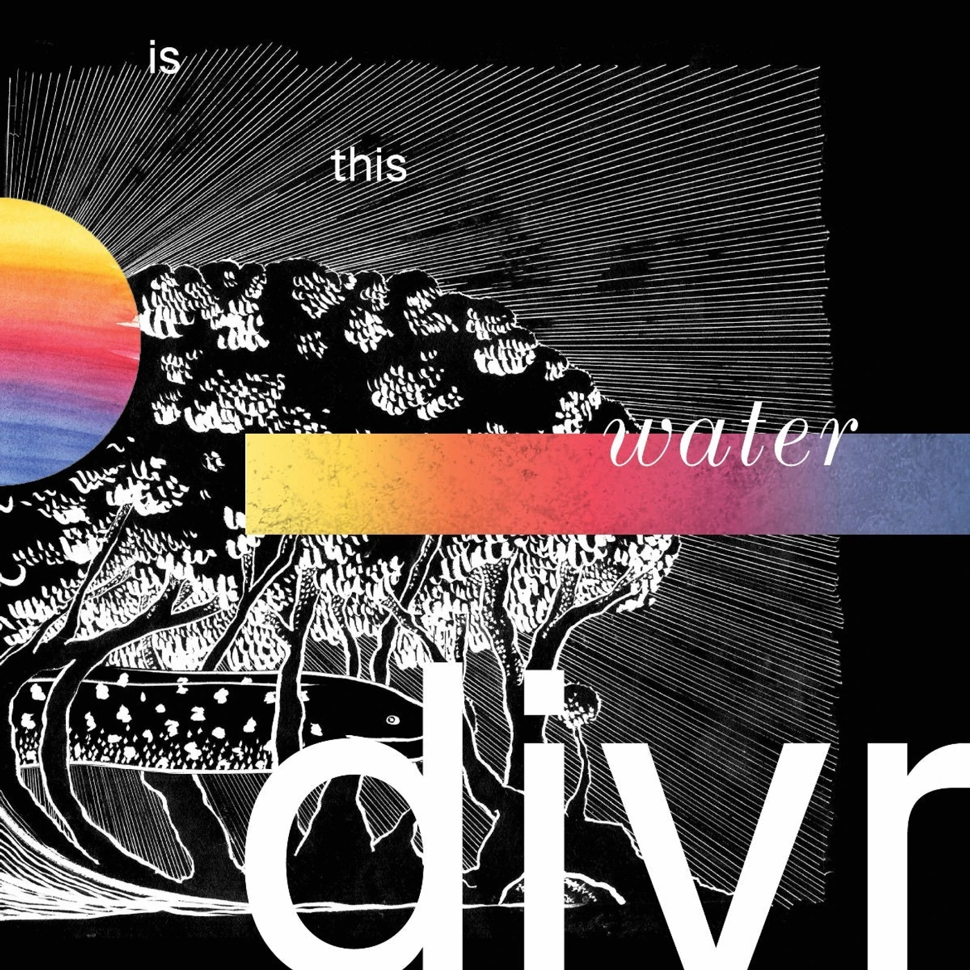 Divr LP - Is This Water (Vinyl)