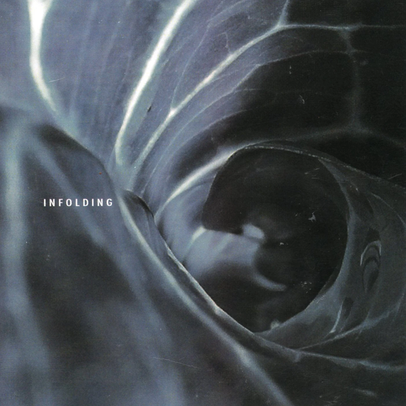Spin Marvel LP - Infolding (Vinyl)