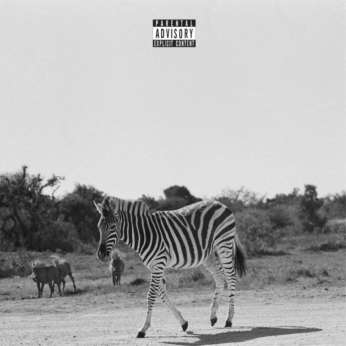 Louis Vi LP - Earthling (Vinyl)